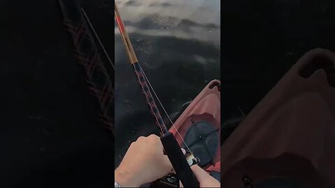 famous kayak YouTuber totally lost it