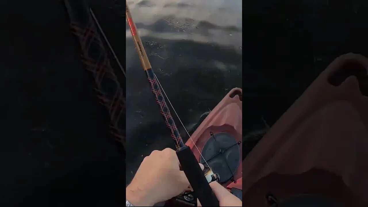 famous kayak YouTuber totally lost it