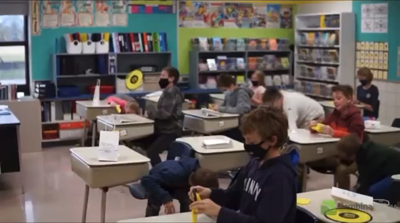 crickets being fed to your kids