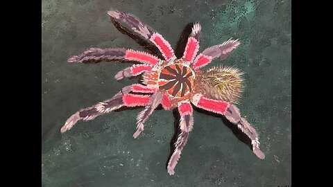 Reptilian series painting {Brazilian pink bloom tarantula}