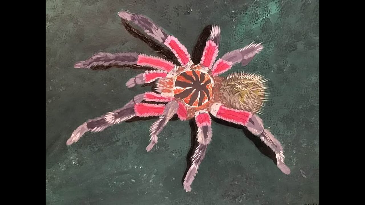 Reptilian series painting {Brazilian pink bloom tarantula}