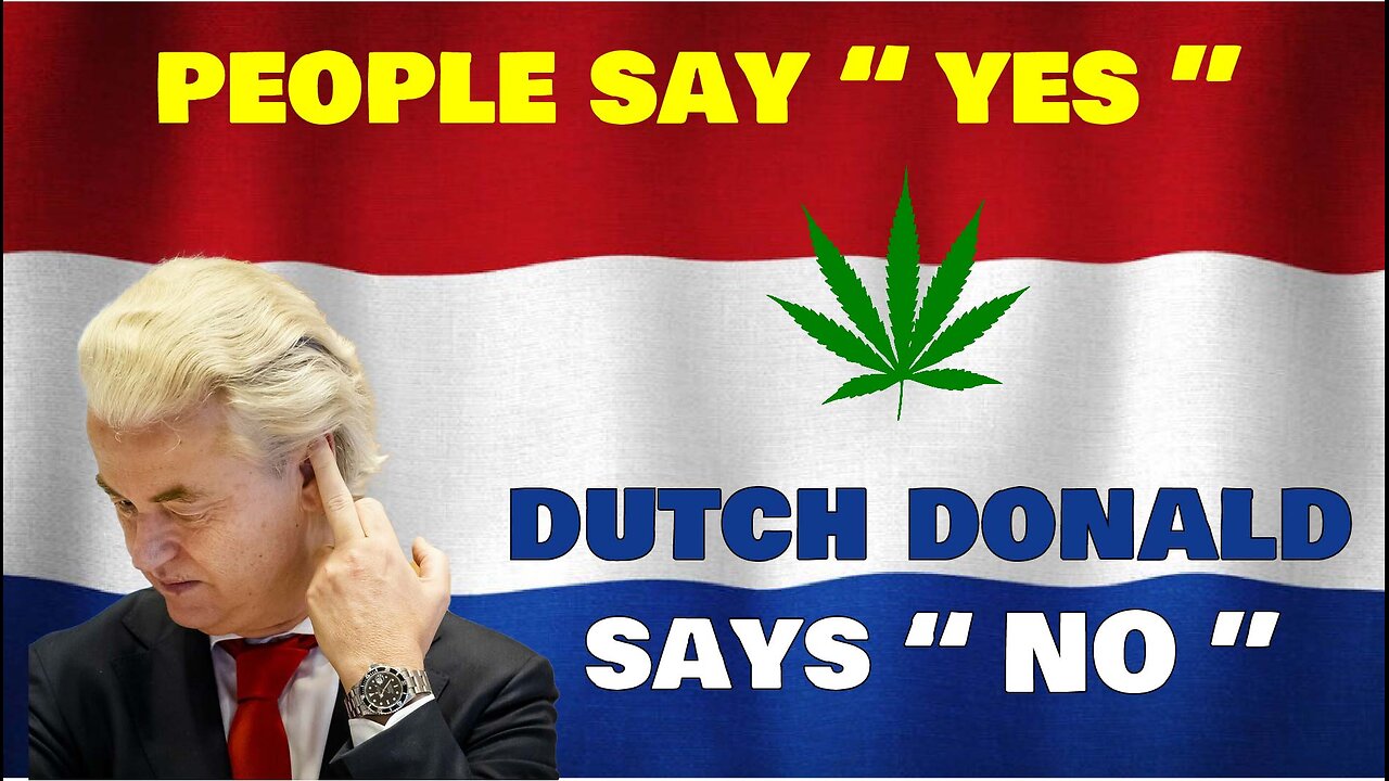 Amsterdam Goes LEGAL!!!! #dutch