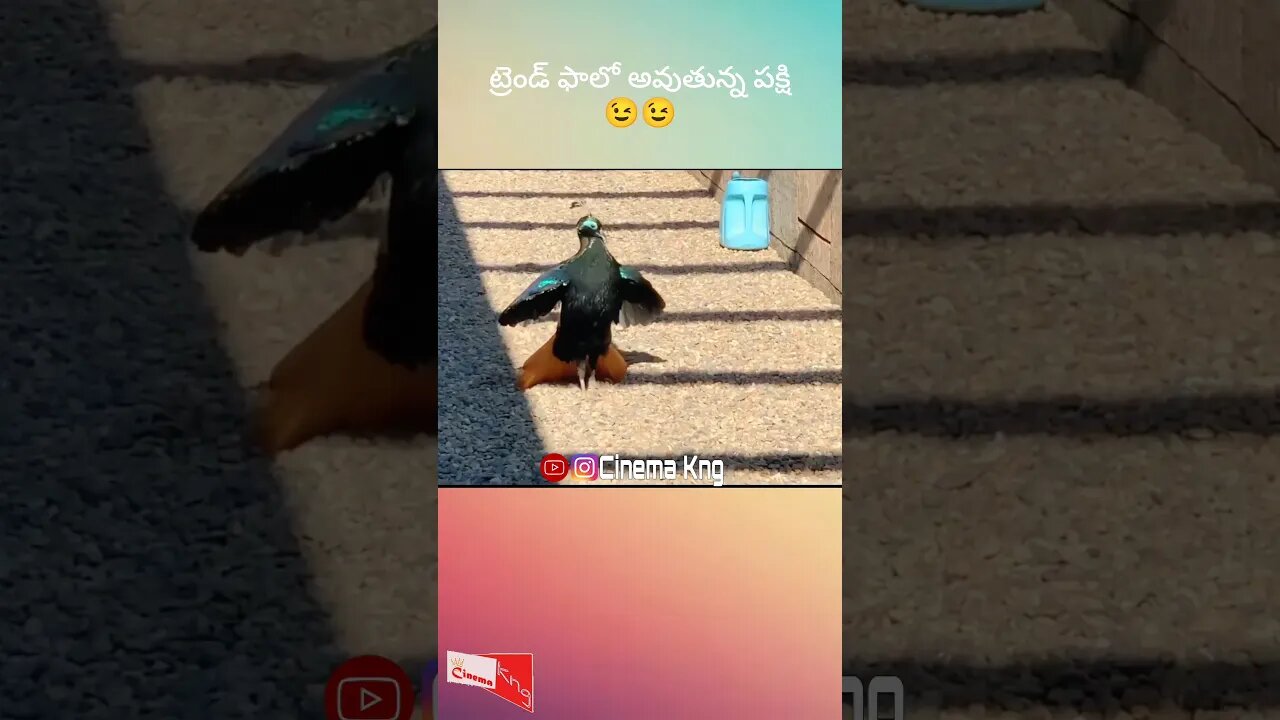 సినిమాల ప్రభావం 😂😂😂 #trending #kavalaya #funny #ytshorts #funnymemes