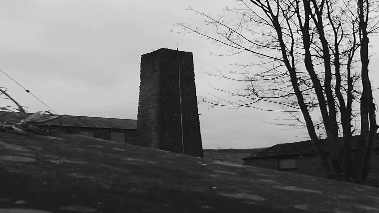 Tuesday Walk thought i would do some thing different