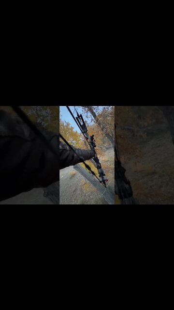 IT’S HERE! The NEW CARBON ONE From Bowtech! (Buck Down)