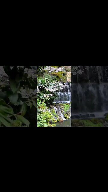 Very atmospheric place in Japan 💫