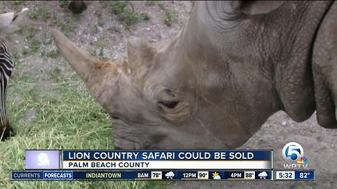 Lion Country Safari could be sold