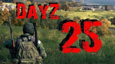 DayZ #25