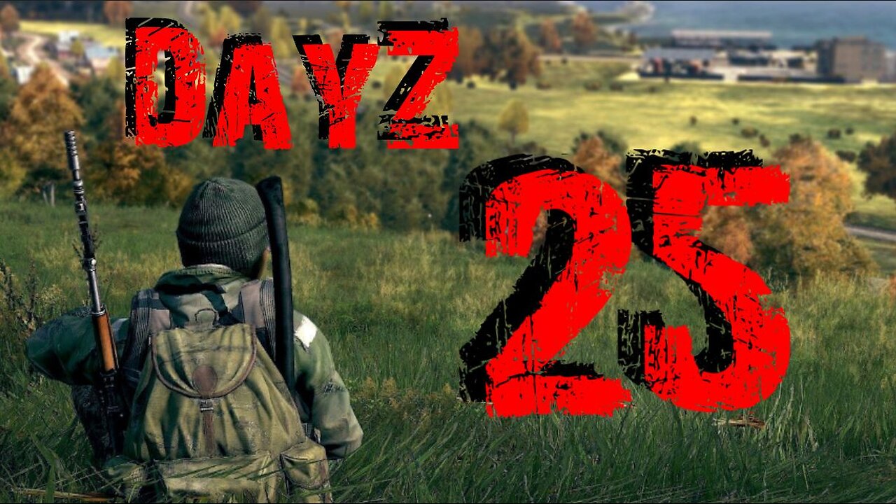 DayZ #25