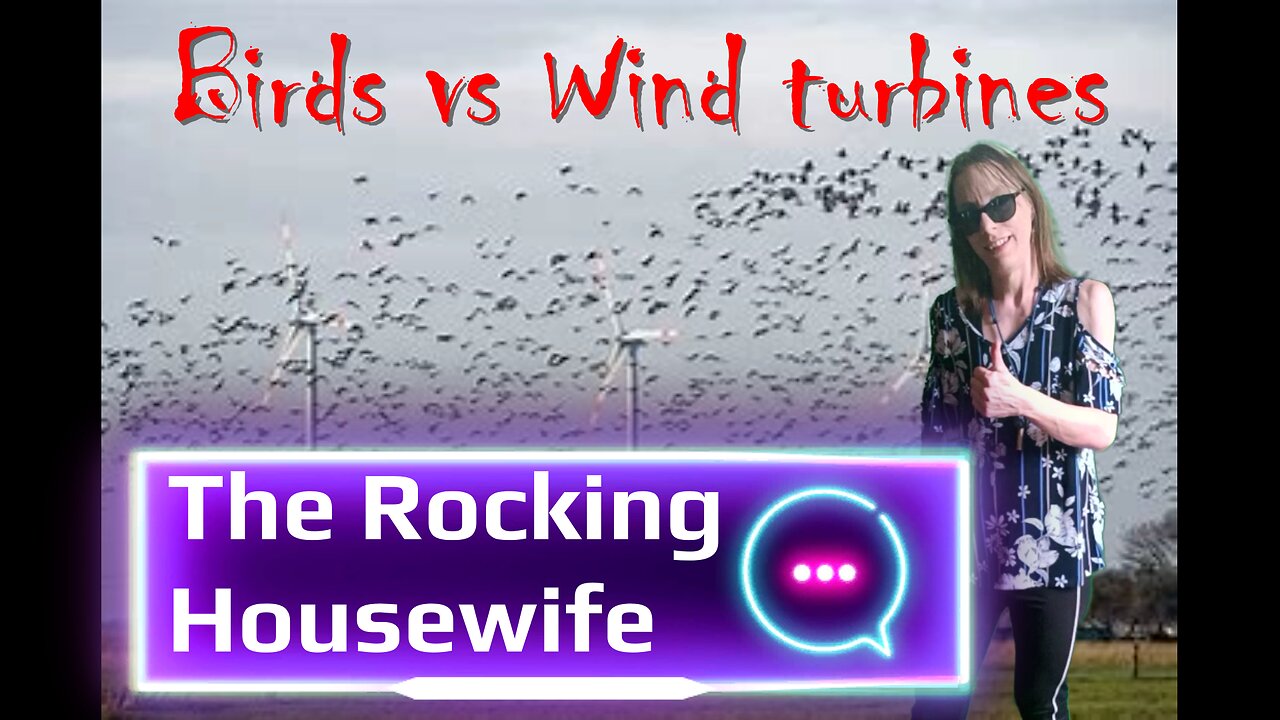 Birds vs Wind turbines