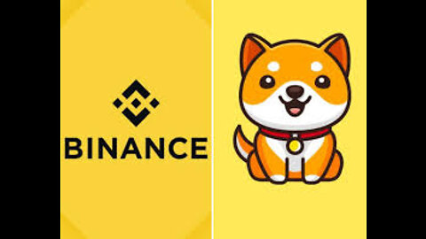 Is BabyDoge Coin on Binance?