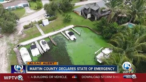 Martin County declares state of emergency over algae