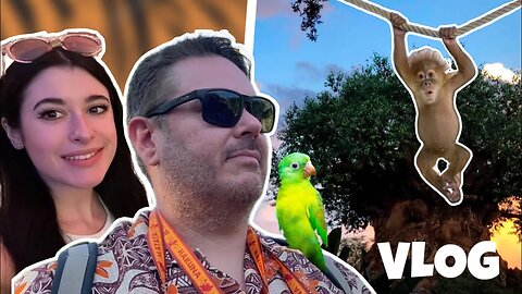 Spending a Day at Animal Kingdom | Park Hopping Afterwards