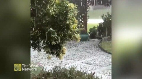 Pathway white with an abundant amount of hail