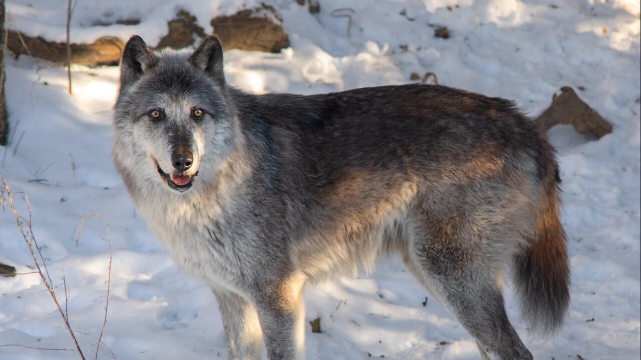 Eye to Eye: Ten Quick Tips to Improve Your Photography Tip Number Two