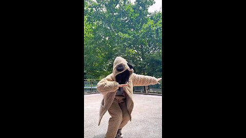 The truth is that orangutans learn from me.
