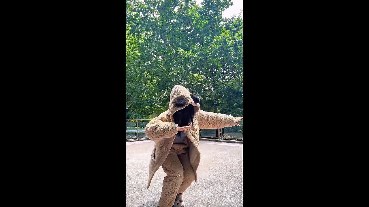 The truth is that orangutans learn from me.