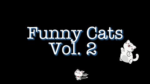 Funny cat Vol.2