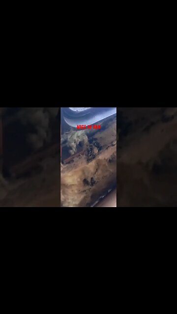 Mice in my Van. Van Rebuild. #vanlife #shorts