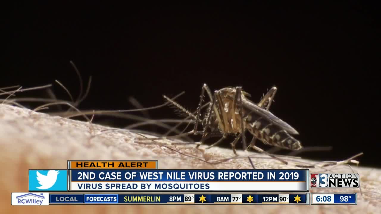Second reported case of West Nile virus this year