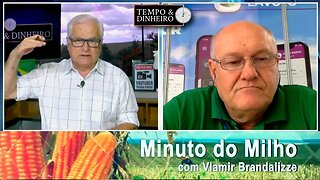 Milho com fôlego positivo do USDA