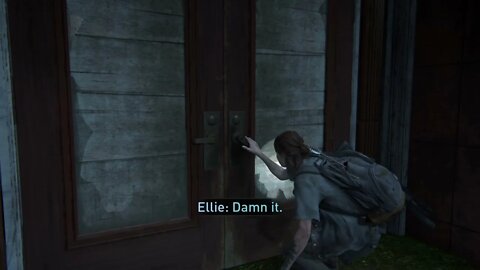 The Last of Us 2 New Game+ Part 30