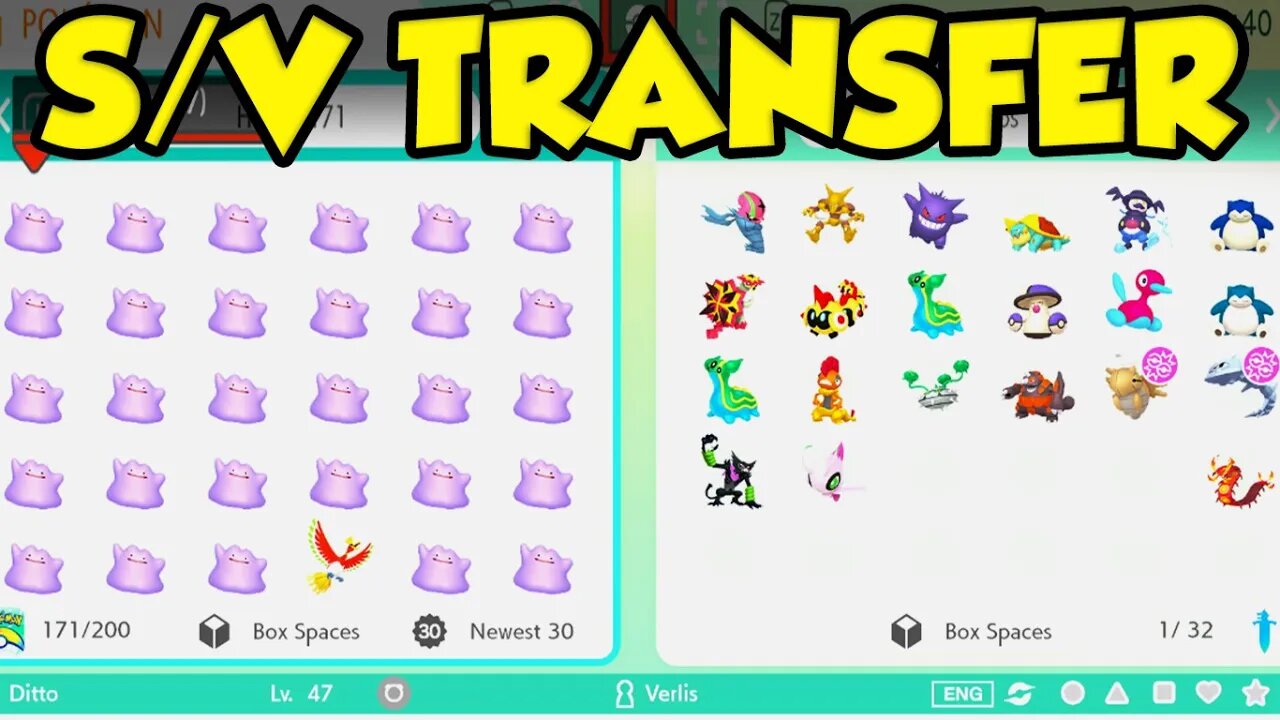 Pokemon Sword & Shield to Pokemon Scarlet & Violet Pokemon Home Transfer!