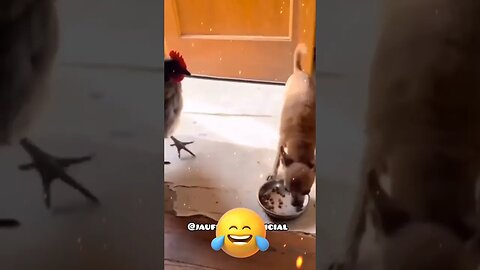 Dona morteonilda que leva mais um