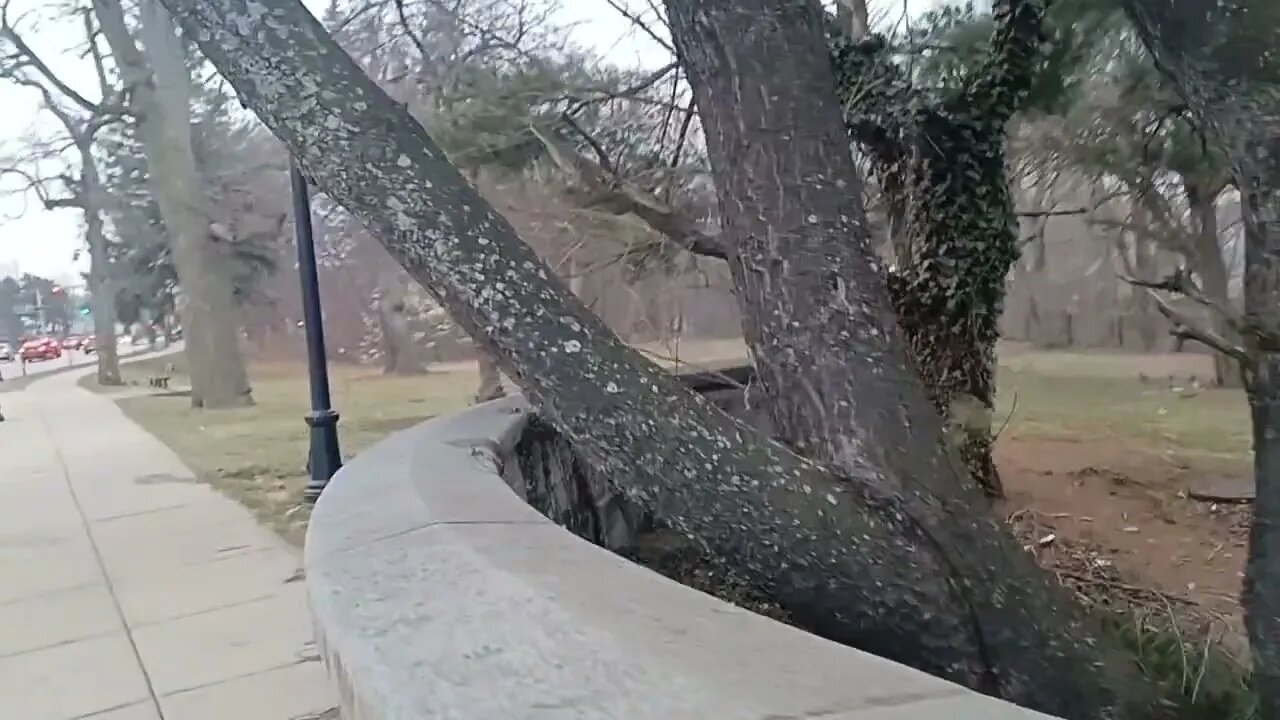 a walk-through Mattapan Square and Neponset Valley River