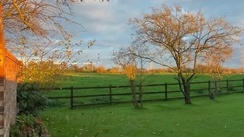 Are There More Male Narcissists Than Female Narcissists?