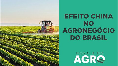 China vai continuar sendo o principal parceiro comercial do agro? | HORA H DO AGRO