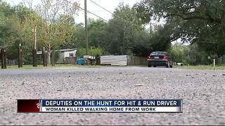 Search for hit and run driver