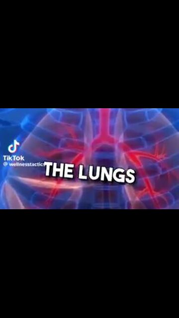 THESE 5 HERBS WILL DETOX THE LUNGS IN MINUTES 💖