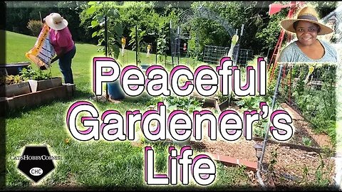 #peaceful Life of A #gardener - #catshobbycorner