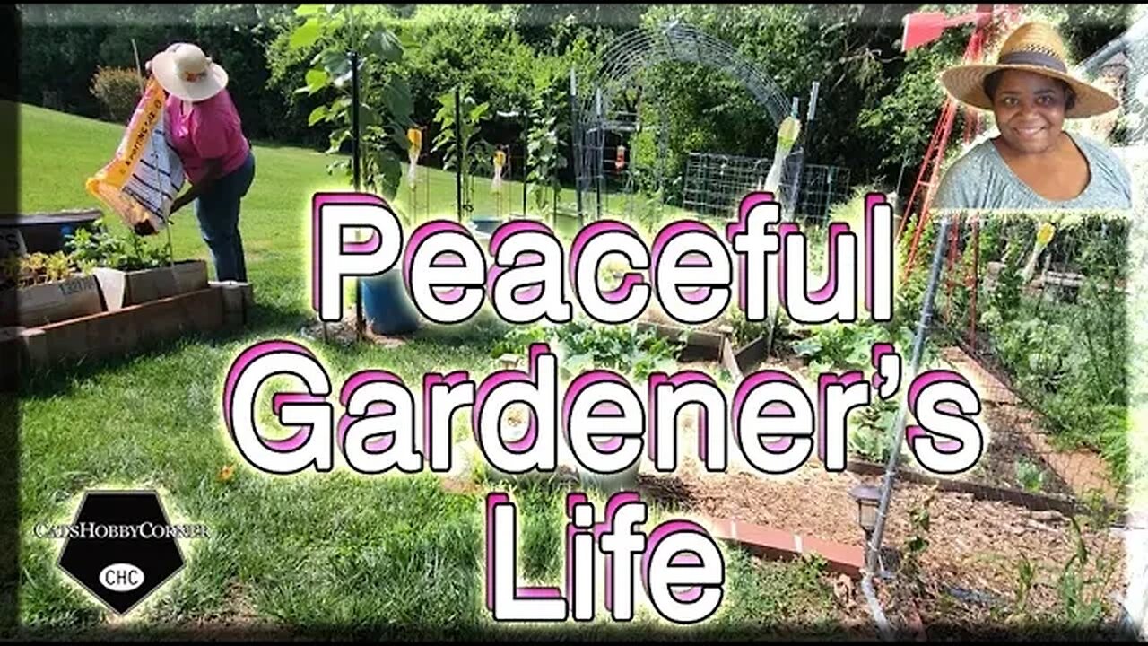 #peaceful Life of A #gardener - #catshobbycorner