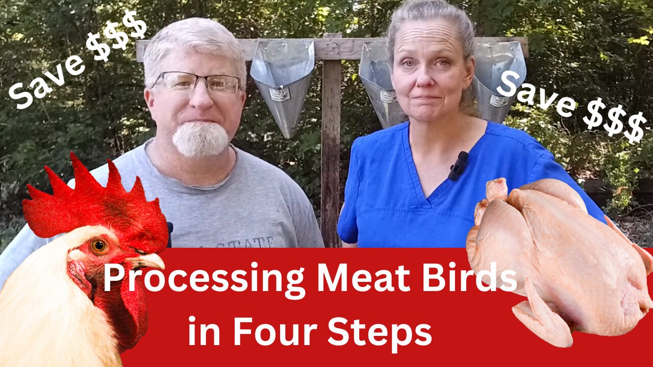 Beginners Guide to Processing Chickens & Cost Saving Tips