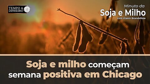 Soja e milho começam semana positiva em Chicago avalia Brandalize