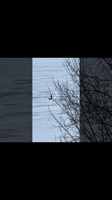 Walking out to do some ice fishing on Lake Superior.