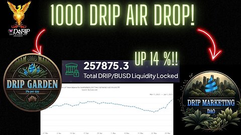 Drip Network Drip Marketing DAO 1000 drip airdrop winner announced