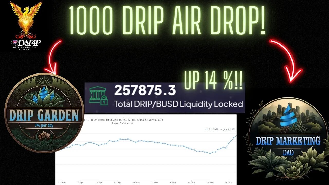 Drip Network Drip Marketing DAO 1000 drip airdrop winner announced