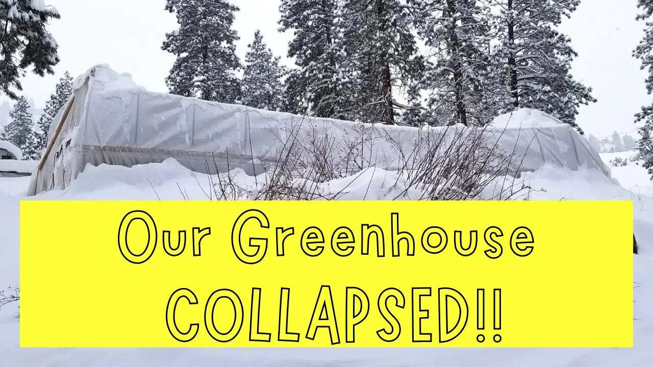 We FAILED... Our Greenhouse Collapsed!