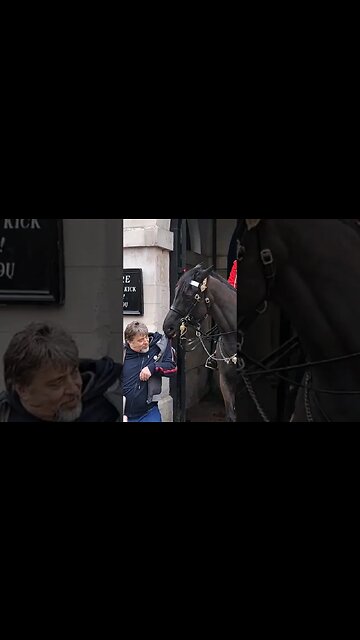The horse did not want to let go of his coat #horseguardsparade