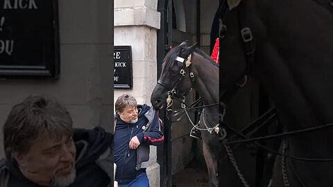 The horse did not want to let go of his coat #horseguardsparade