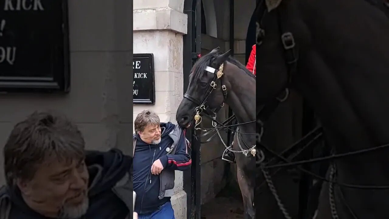 The horse did not want to let go of his coat #horseguardsparade