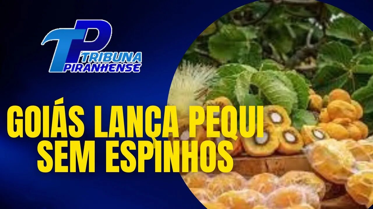 É OFICIAL: GOIÁS LANÇA PEQUI SEM ESPINHOS