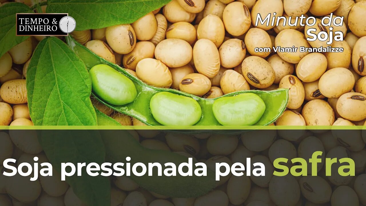 Soja pressionada pela safra com mais de 100 mi de t. ainda não negociadas