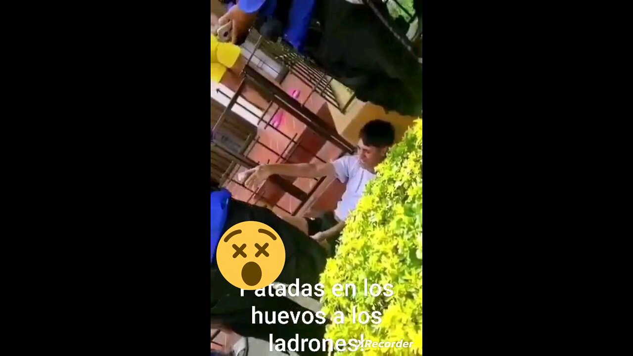 Thief got kicked in the balls by angry mob