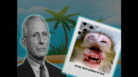 FAUCI'S FORCED TRANSGENDERIZED MONKEY TORTURE