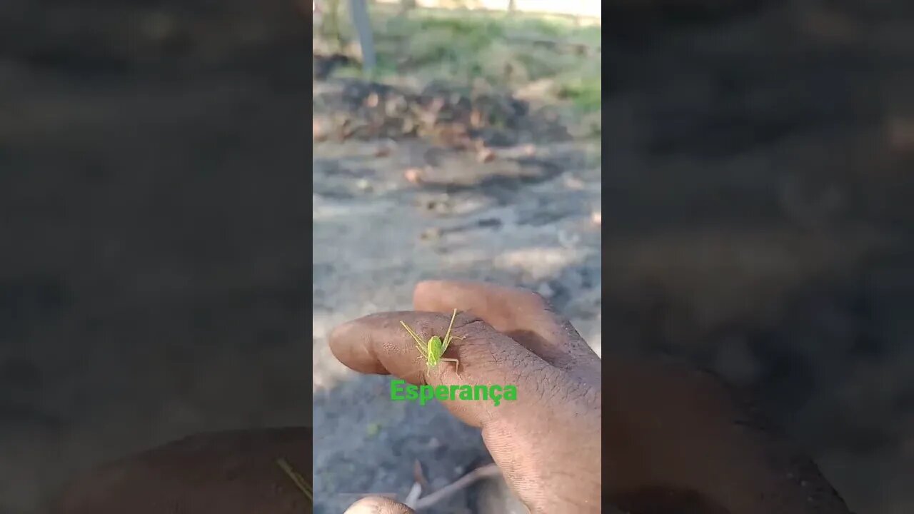 14 de novembro de 2023