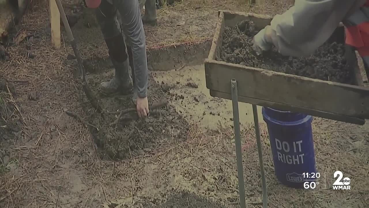 Historic site of cabin once owned by Harriet Tubman's father discovered in Dorchester County